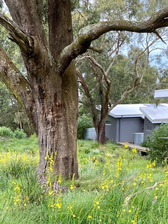 Messmates Luxury Eco Suites Inverloch Buitenkant foto